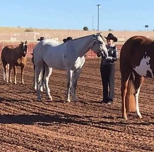 Meet your Posher, Marcella